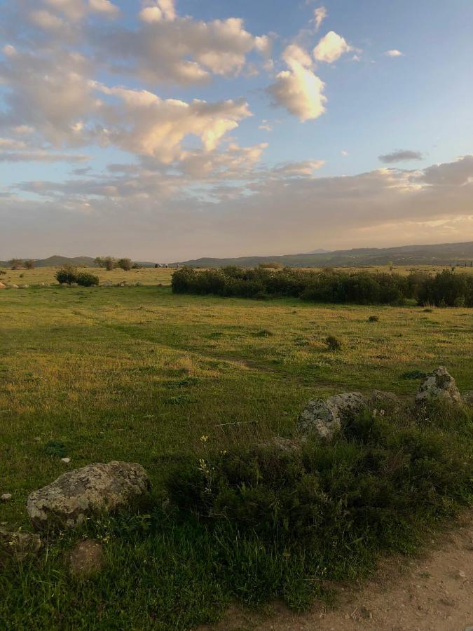 Cervera de Buitrago El Lago מראה חיצוני תמונה